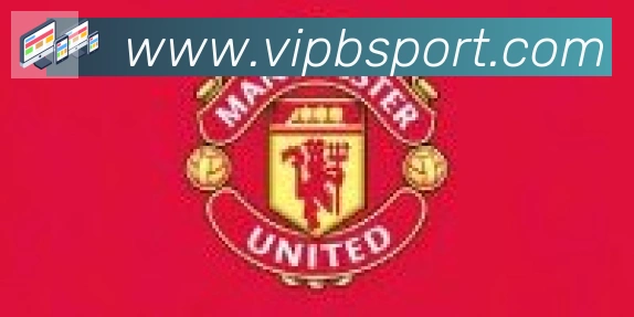Bsports官网合作伙伴